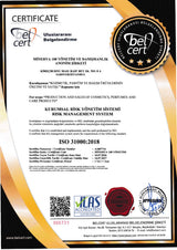 ISO 31000