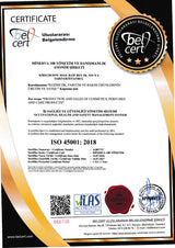 ISO 45001